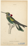 Image ID 820894