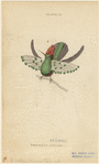 Image ID 820895
