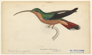 Image ID 820896