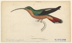 Image ID 820896