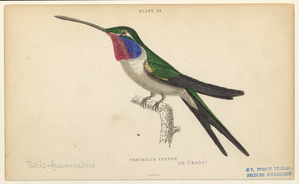 Image ID 820897