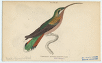 Image ID 820898