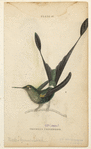 Image ID 820899