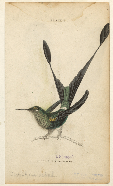 Image ID 820899
