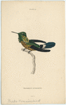 Image ID 820902