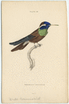 Image ID 820903