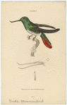 Image ID 820904