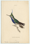 Image ID 820905