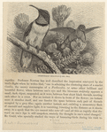 Image ID 820906