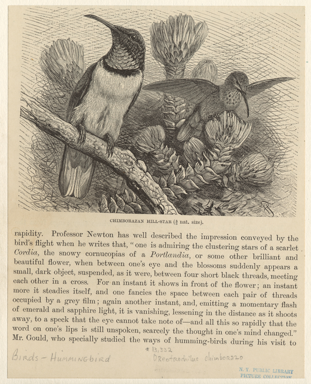 Image ID 820906
