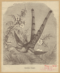 Image ID 820908