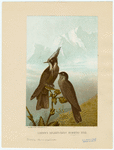Image ID 820909