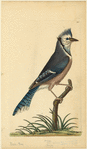 Image ID 820927