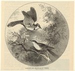 Image ID 820929