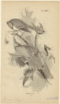 Image ID 820930