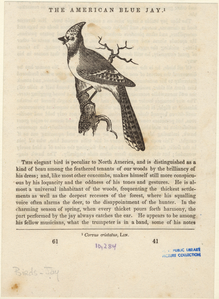 Image ID 820933