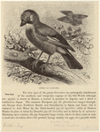 Image ID 820934