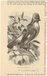 Image ID 820936
