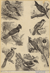Image ID 820937
