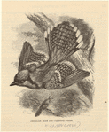 Image ID 820938