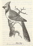 Image ID 820939