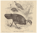 Image ID 820941