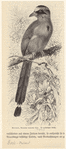 Image ID 820944