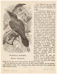 Image ID 820946