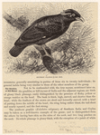 Image ID 820947