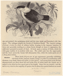 Image ID 820949