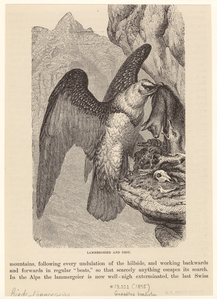 Image ID 820952