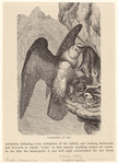 Image ID 820952