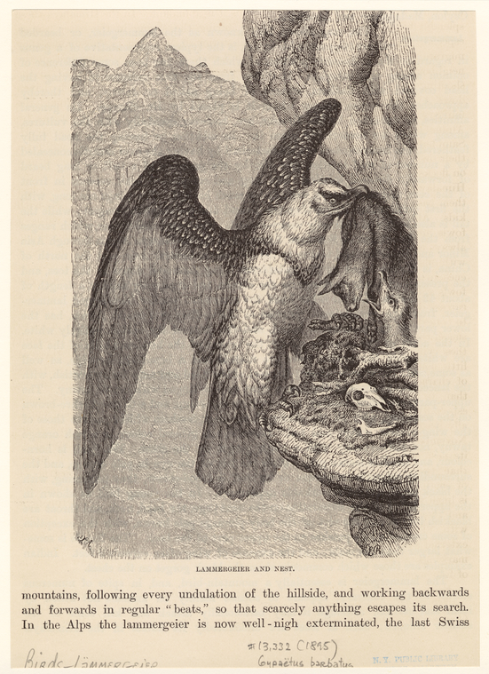 Image ID 820952
