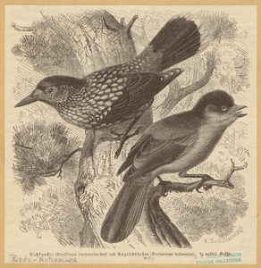 Image ID 820959