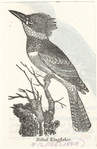 Image ID 820961