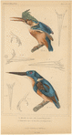 Image ID 820962