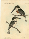 Image ID 820963