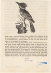 Image ID 820965