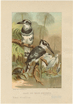 Image ID 820966