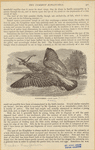 Image ID 820967