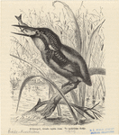 Image ID 820968