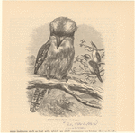 Image ID 820969