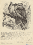 Image ID 820970