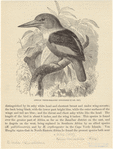 Image ID 820971