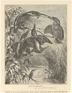 Image ID 820972