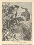 Image ID 820972