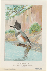 Image ID 820973