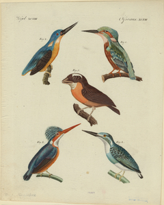 Image ID 820974