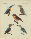 Image ID 820974