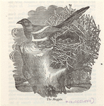 Image ID 820975